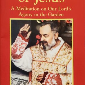 The Agony of Jesus, a Meditation by Padre Pio