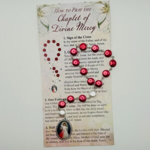 Divine Mercy Chaplet with Prayer Card